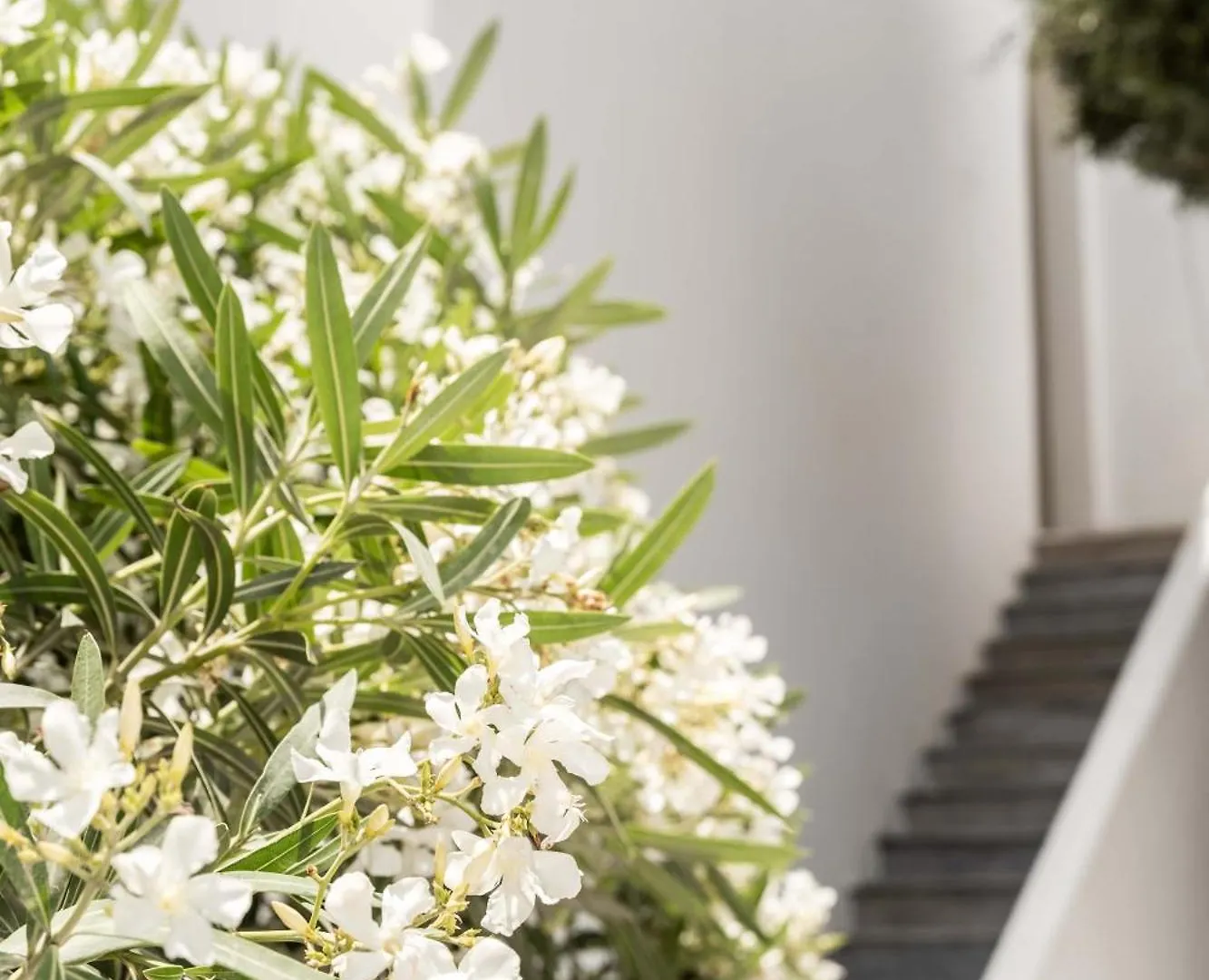 Philosophy Of Mykonos Boutique Hotel Mykonos Town